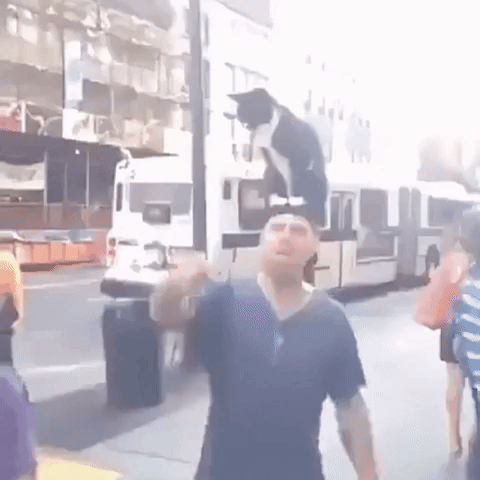 Can On Mans Head Nyc GIF
