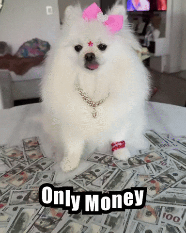 Famous Dog Pomeranian GIF