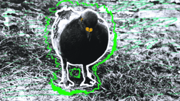 Animation Wales GIF