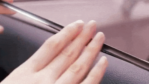 GIF animado