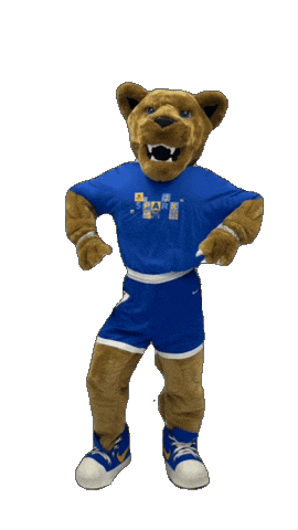 New York Hofstrau Sticker by Hofstra University