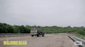 twd GIF by The Walking Dead