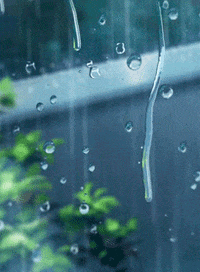 Animated-rain GIFs - Get the best GIF on GIPHY