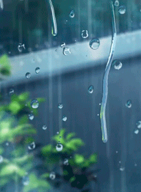 Rain Anime GIF - Rain Anime Raining - Discover & Share GIFs