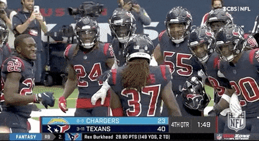 Houston Texans Football GIF by NFL