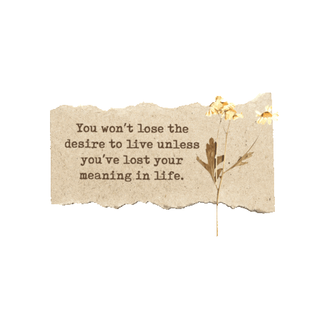 Tim Keller Jesus Sticker