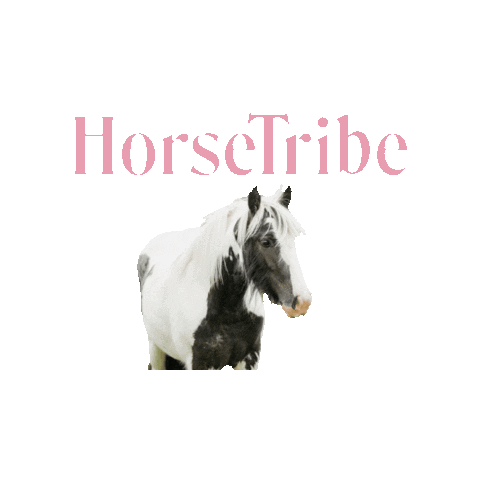 HorseTribe Sticker