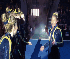 michigan women's gymnastics handshake GIF by Michigan Athletics