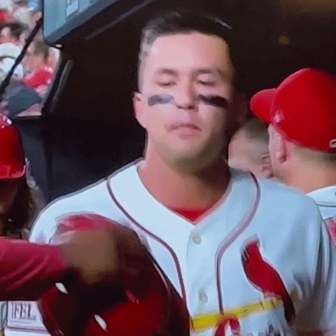 Cardinals GIF