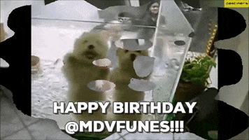 chixie89 #happy #birthday #4life #ds106dc GIF