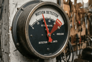 Motion GIF