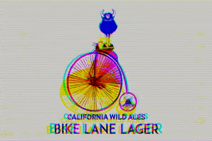 Ocean Beach Bicycle GIF by californiawildales