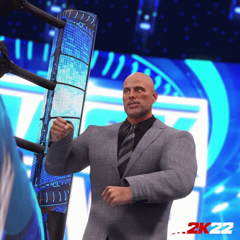 Video Game Wwe GIF by 2K Games