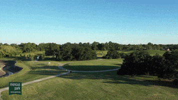 Moncus Park GIF