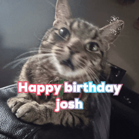 Birthday Cats GIF