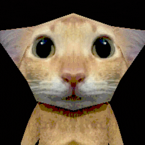 Cat Scream GIF