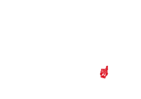 Canels USA Sticker