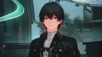 Wuwa GIF