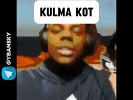 Uzbek Kotlar GIF
