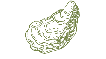 Oyster Sticker by Helen Adams Realty