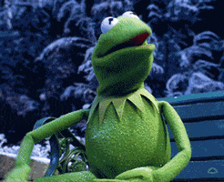 Kermit The Frog Christmas GIF by Muppet Wiki