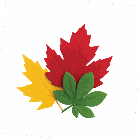 GIF by SWISONTARIO