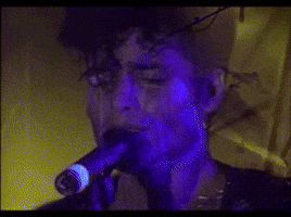 themute  GIF