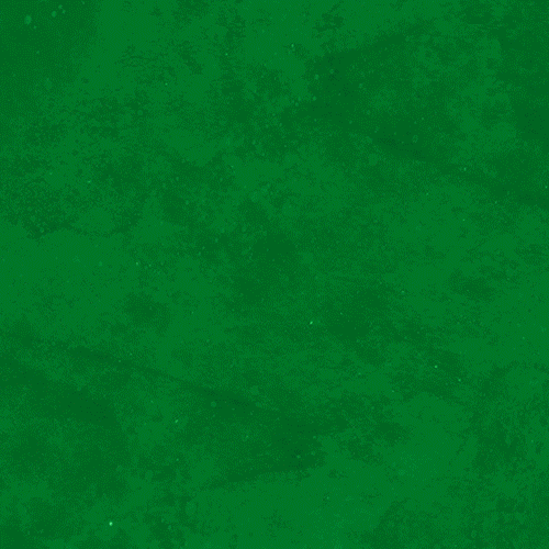 lsamsterdam GIF