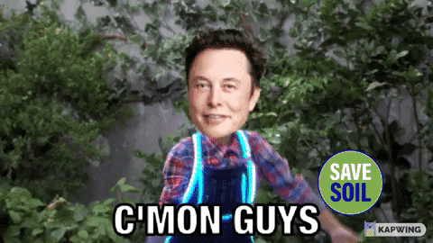 Elon Musk Tesla GIF by Save Soil thumbnail