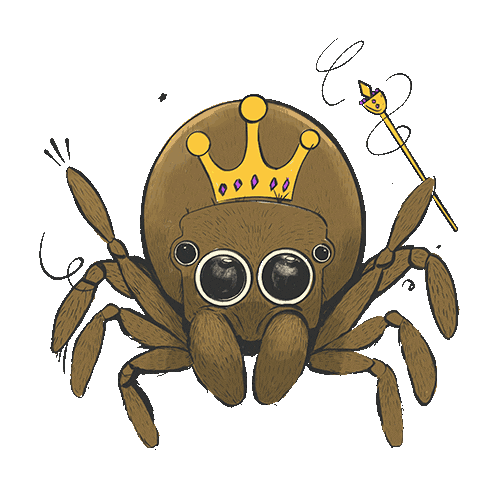 Hermit Crab Bugs Sticker by Puerto Candelaria
