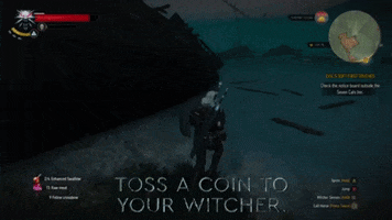 Witcher 3 GIF