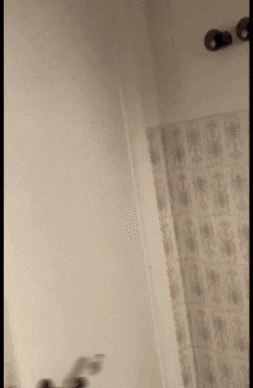 Surprise Toilet GIF