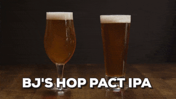 beer GIF by BJ’s Restaurant & Brewhouse