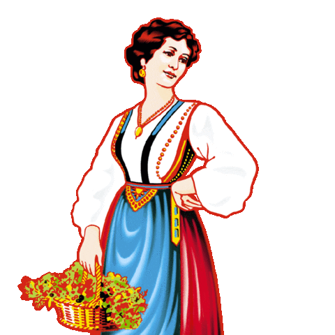 Amaro Lucano Flag Austria Sticker by Amaro Lucano