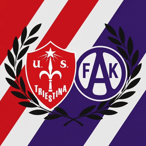 Austria Wien Fans GIF