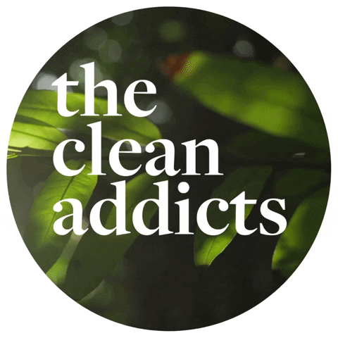 thecleanaddicts tca the clean addicts GIF