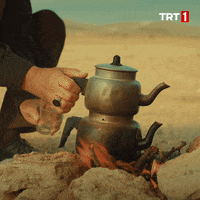 Spill The Tea GIF by TRT