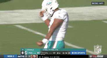 Miami Dolphins Win GIF by NFL