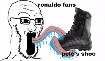 Brazil Fans Tapinaldo GIF