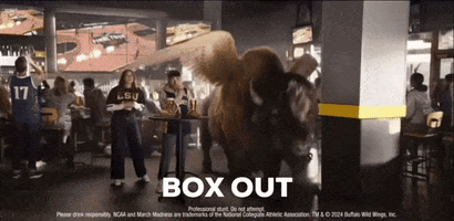 Buffalo GIF