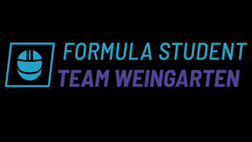 FormulaStudent formula stinger formulastudent weingarten GIF
