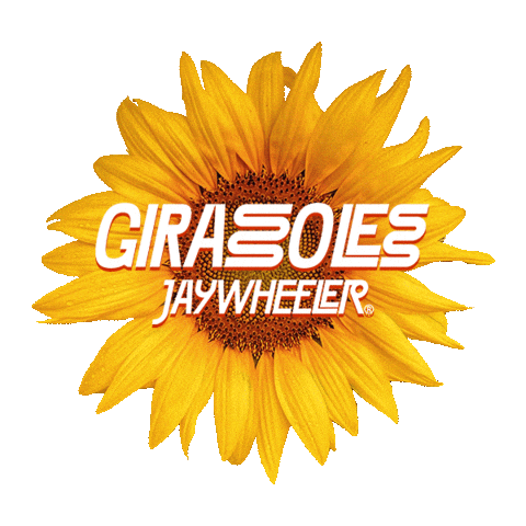 Girasoles Sticker by EMPIRE