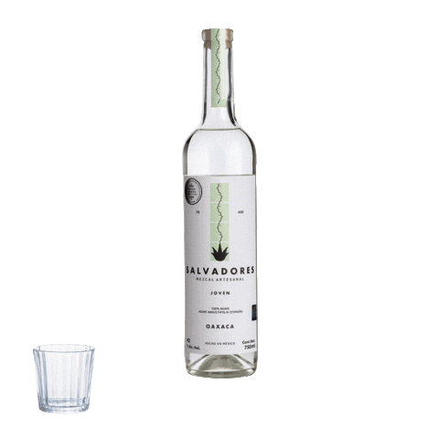 Cheers Copa Sticker by salvadores