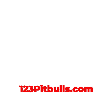 Pitbull Apbt Sticker by Chico Lopez