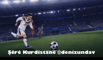 Germany Bundesliga GIF