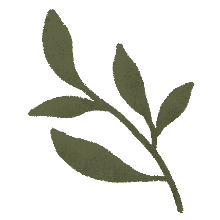 Lebriistudio Sticker