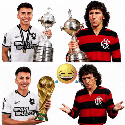 Copa Libertadores GIF