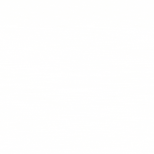 Ahoicamp GIF by medienstrand