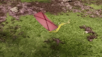 Kite GIF by Unreal Engine