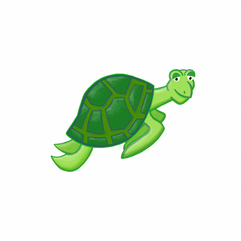 Go With The Flow GIF by BiMA kids